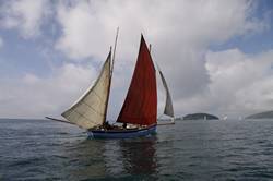 Looe Lugger Regatta - FY59 - Reliance