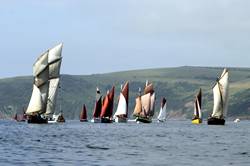 Looe Lugger Regatta - start of the first race