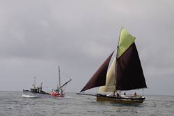 Looe Lugger Regatta - start of the first race