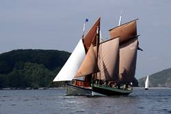 Looe Lugger Regatta - start of the first race