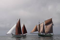 Looe Lugger Regatta - start of the first race