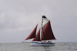 Looe Lugger Regatta - start of the first race