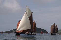 Looe Lugger Regatta - start of the first race