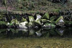 River Fowey