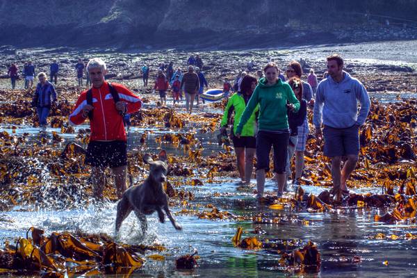 20th March 2011 - Paddle across to Looe Island with a very low spring tide.
