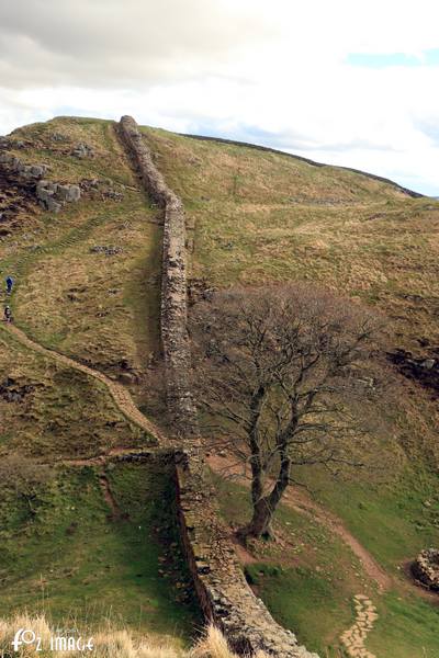 31 March 2017 - Hadrian's Wall © Ian Foster / fozimage