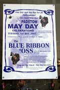 Blue Ribbon oss