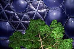 Eden - Rainforest Biome at night