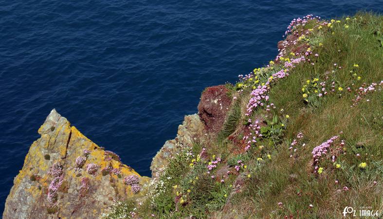 Trevaunance Cove © Ian Foster / fozimage 13th May 2016 - Trevaunance Cove © Ian Foster / fozimage