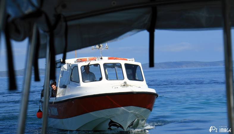 24 May 2017 - Glass bottom boat trip © Ian Foster / fozimage