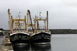 Newlyn Fish Festival