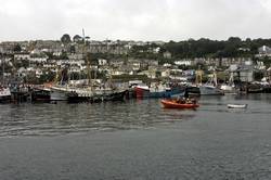 Newlyn Fish Festival