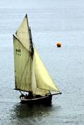 Falmouth working boats