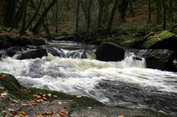 Golitha falls