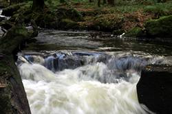 Golitha falls