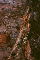 Sandymouth