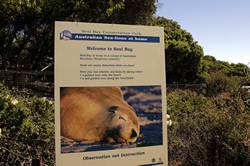 Seal bay conservation park