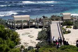 Seal bay conservation park