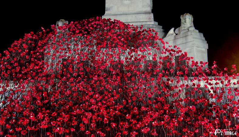 29 September 2017 - Poppies Wave - Plymouth Naval Memorial © Ian Foster / fozimage