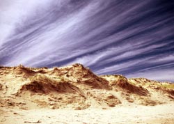 Younghusband Peninsula - The Coorong National Park