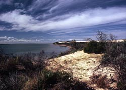 Younghusband Peninsula - The Coorong National Park