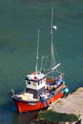 Polperro - outer harbour