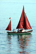 Danescombe Luggers