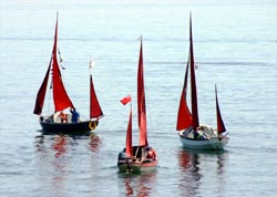 Danescombe Luggers