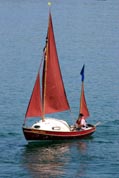 Danescombe Luggers