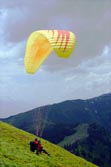 Tandem paraglider