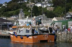 Looe Trawler Race