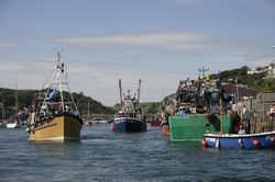 Looe Trawler Race