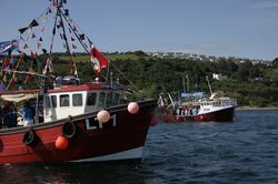 Looe Trawler Race