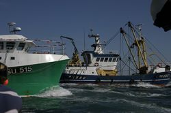 Looe Trawler Race