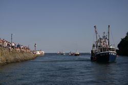 Looe Trawler Race