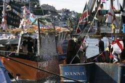 Looe Trawler Race