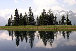 Lake reflections