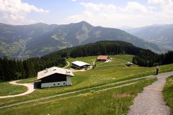 City express higher station and Alpine restaurantAlpine restaurant